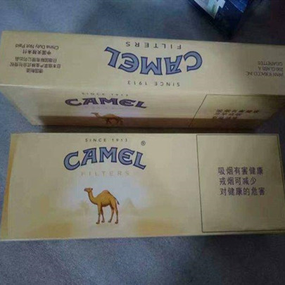 camel中免黄骆驼外烟